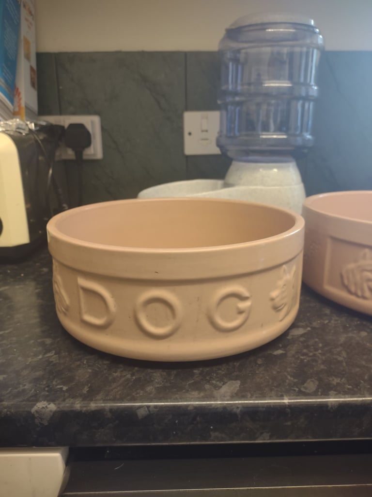 image for Dog dishes 