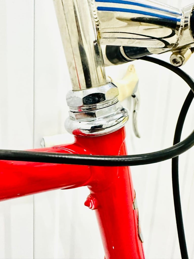 A7  BOTTECHIA Size/L Super LW Road Bike  12 Speed 700c Wheels