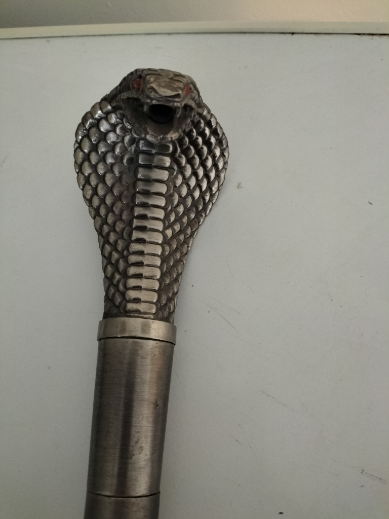 image for Walking stick