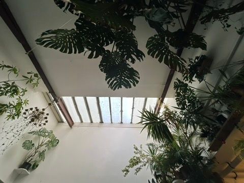 image for MEZZANINE ROOM WITH SKYLIGHT IN MANOR HOUSE WAREHOUSE