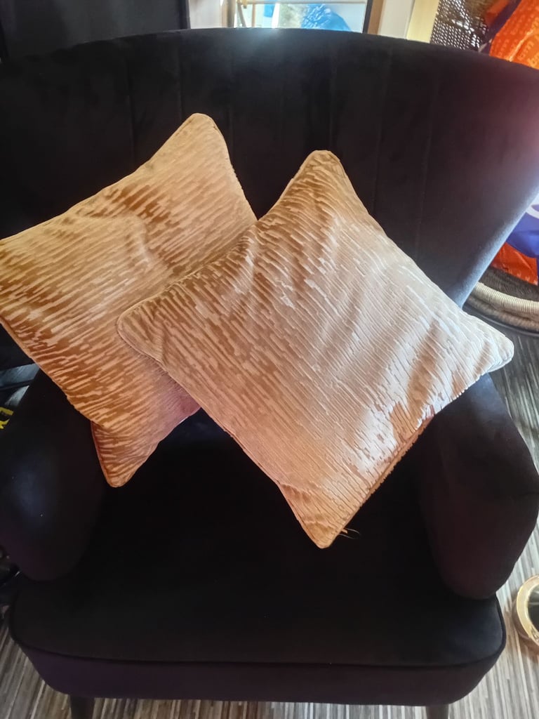 image for Cushions 
