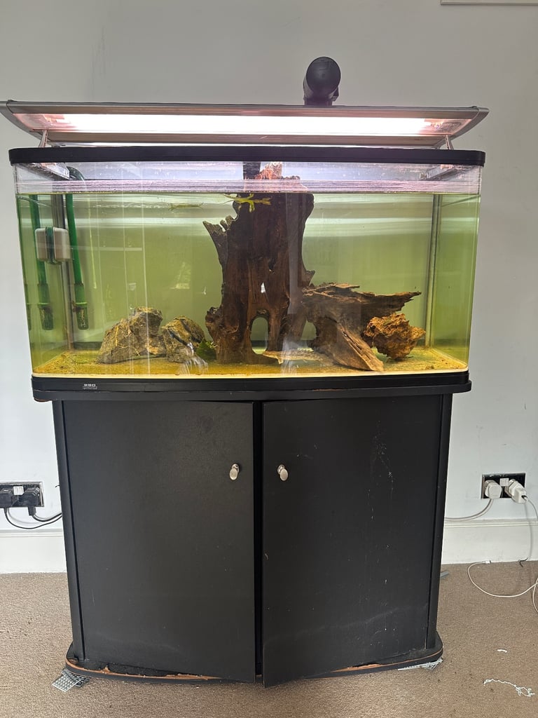 200ltr tank with combo filter heater, plinth, ornaments and fish: Oscar, Birchir, Rope Fish