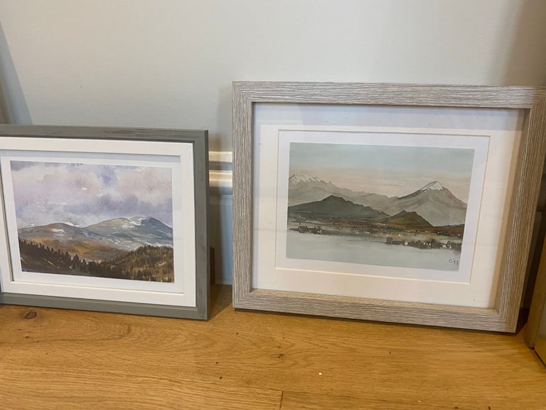 Last few remaining items from show home furniture sale