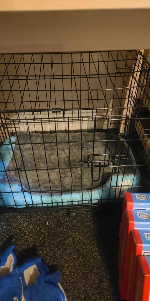 image for Small dog crate (bed not included)