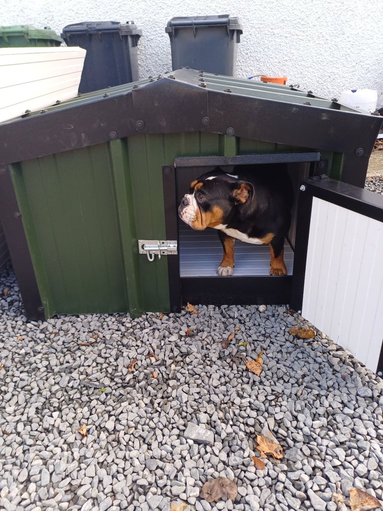 Dog house gumtree clearance