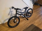 Pinnacle Ash Kids Bike 