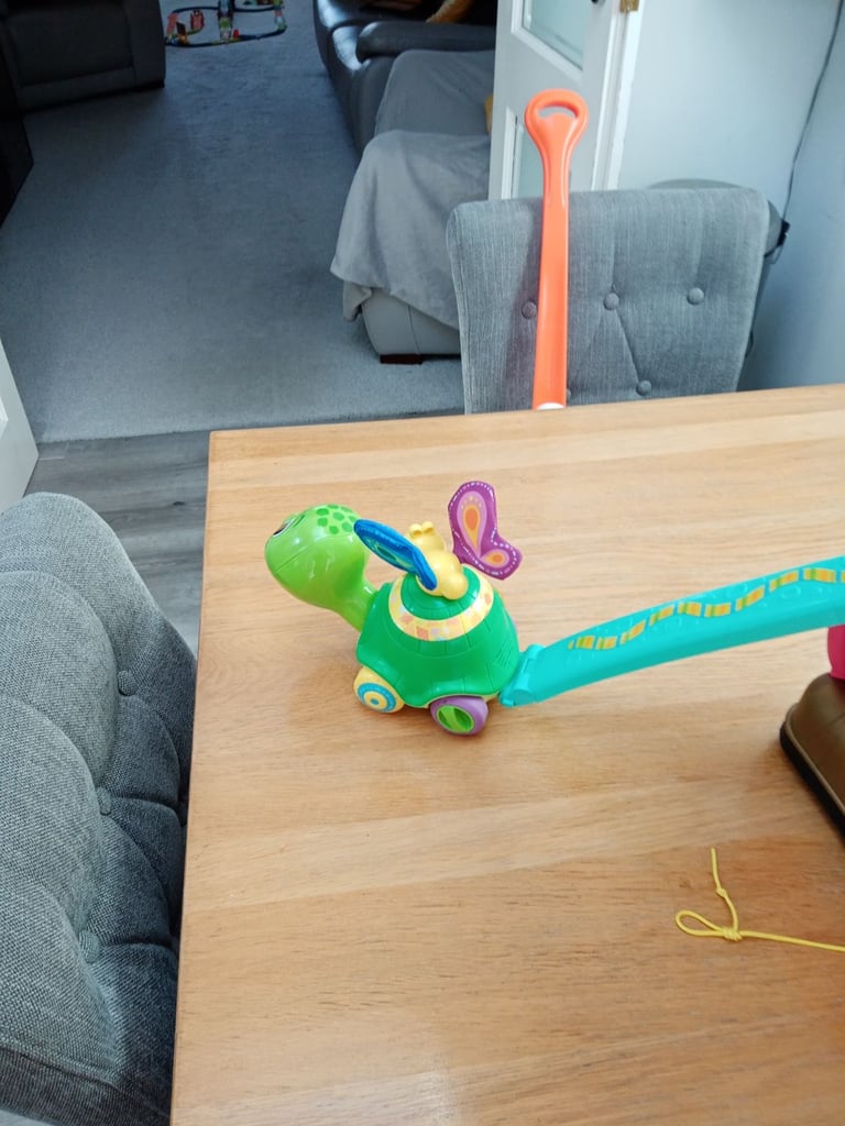 Push along turtle vtech