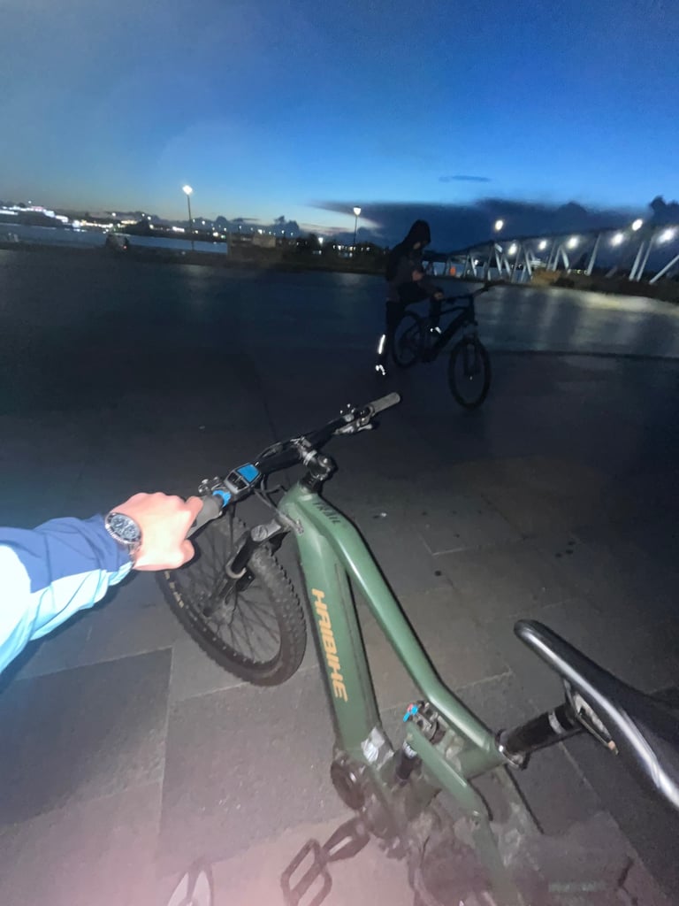 Haibike 