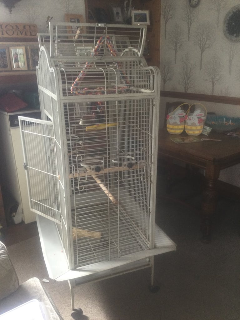 Large parrot cage