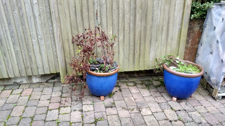 image for Very sturdy good quality ceramic pot (s)