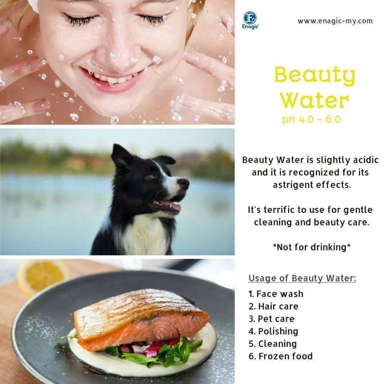 Leveluk Enagic Kangen SD501 water ioniser machine