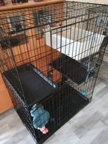 Cat cage 