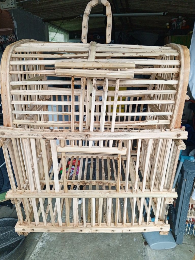 image for  cage 