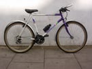 etro Old School Mountain/ Commuter Bike by Emmelle, White, JUST SERVICED / CHEAP PRICE!!