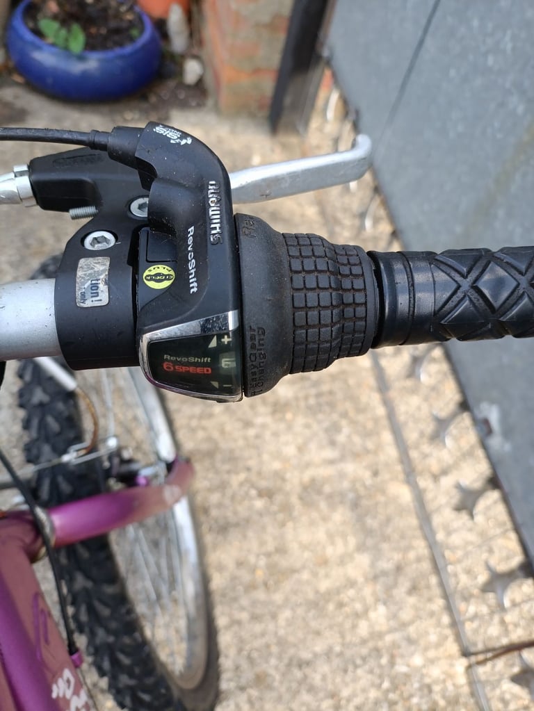 RALEIGH KRUSH24(PINK/SILVER) 24 INCH WHEEL CHILDS BIKE,SOLID KICK STAND,ALLOYBRAKES+LEVERS