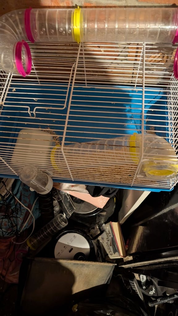 Hamster 🐹 cage 