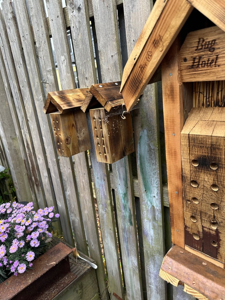 Bee & Bug Hotels 
