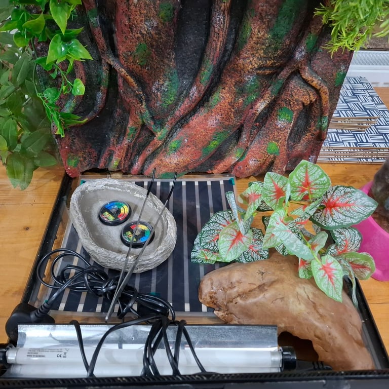 Exo Terra 45x45x60cm Vivarium 