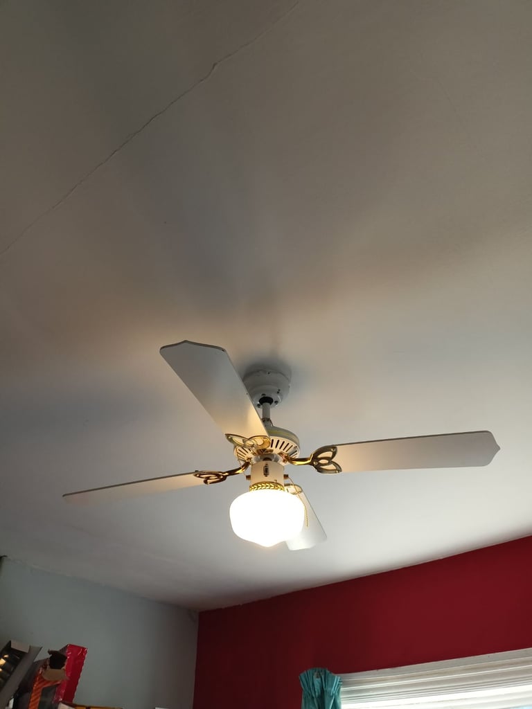 image for Ceiling Lights with fans
