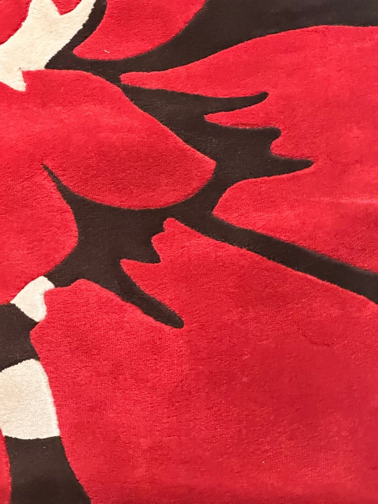 VERY LARGE RUG - FREE DELIVERY IN LOCAL AREA 