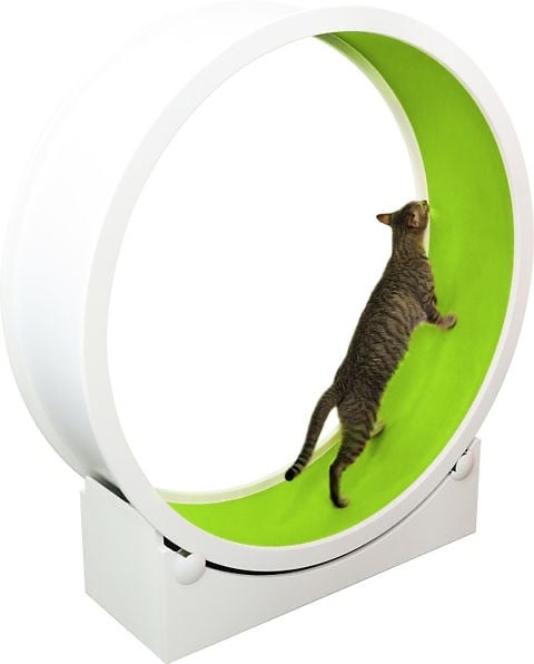 image for Modern Cat Wheel in perfect working condition