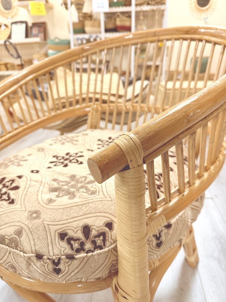 cozy Cane Arm Chair with cushion 