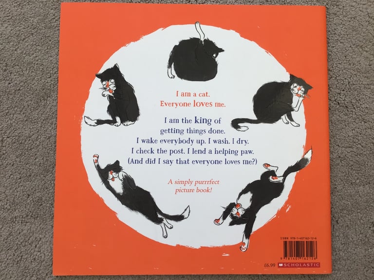 “Cat In A Box” Children’s Paperback Book 