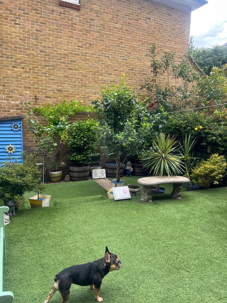 CRYSTAL PALACE TO ANY WHERE SOUTH