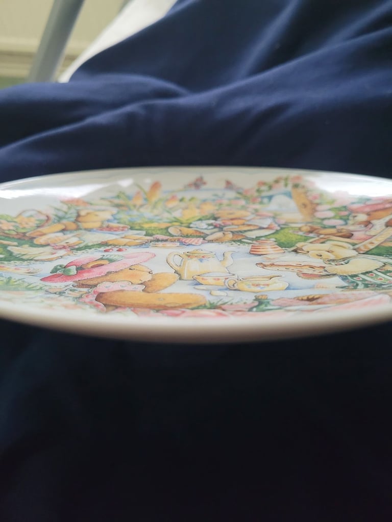 Really lovely teddy bear picnic plate 