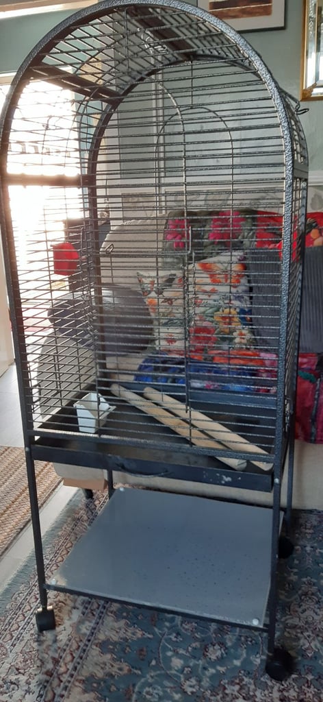 image for Bird cage 