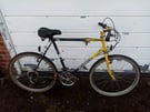 Peugeot lynx retro mountain bike, about 35 years old 