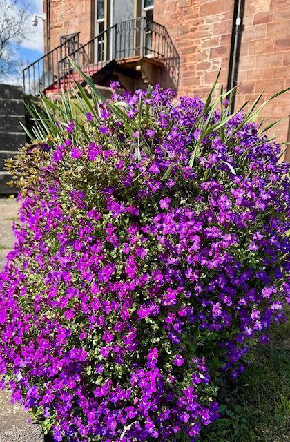 Willerby Malton in Angus  - Lodge / Caravan 