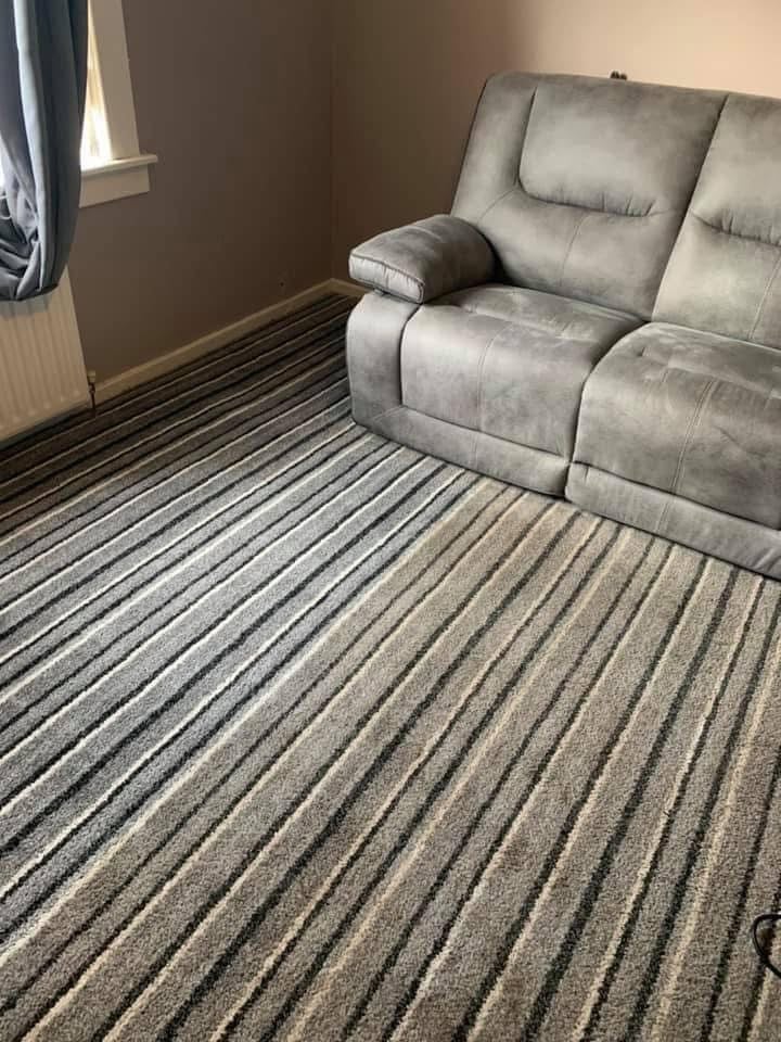 Professional carpet, upholstery, leather sofa, mattress and oven cleaning