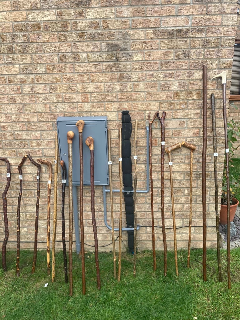 Hiking sticks 