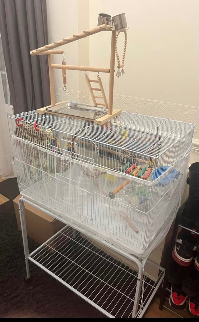Large Budge cage 
