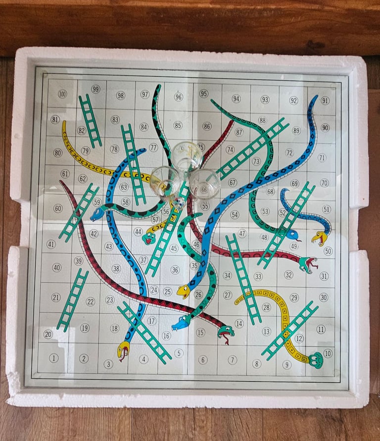 Large Adults Snakes and Ladders drinking game