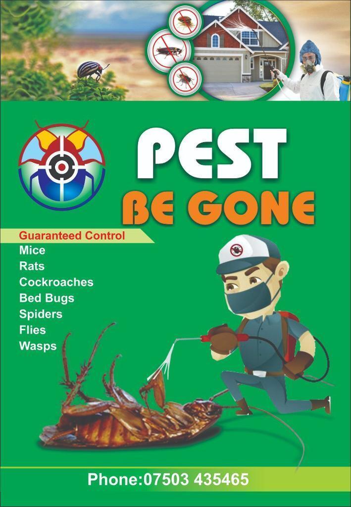 24/7 pest control services rat mice bedbugs cockroaches mouse ants Etc