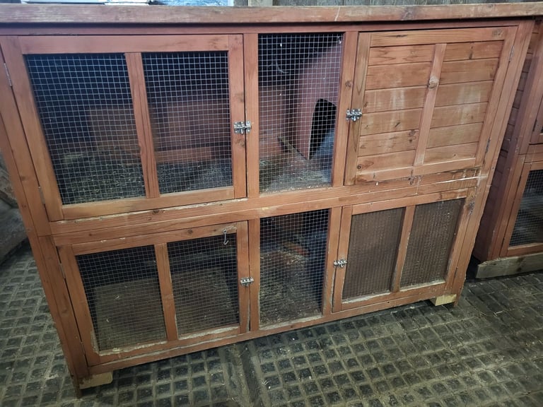 Rabbit hutch 