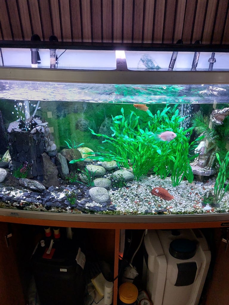 AQUA 1 FISH TANK
