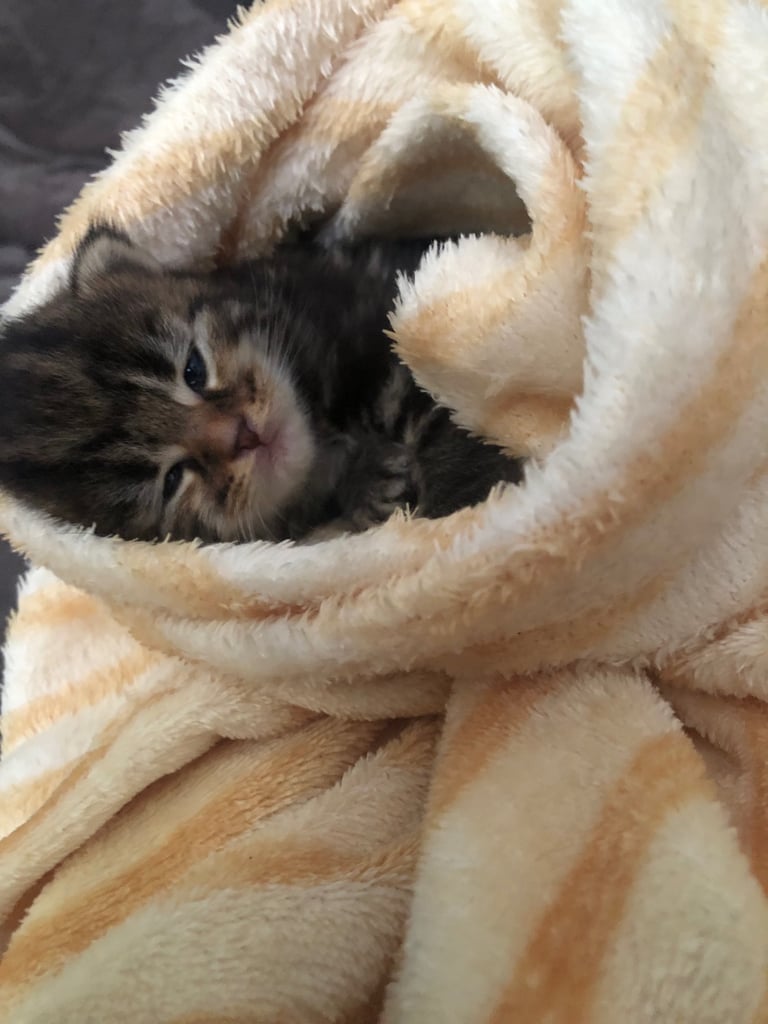 Ready to leave now !!!!!