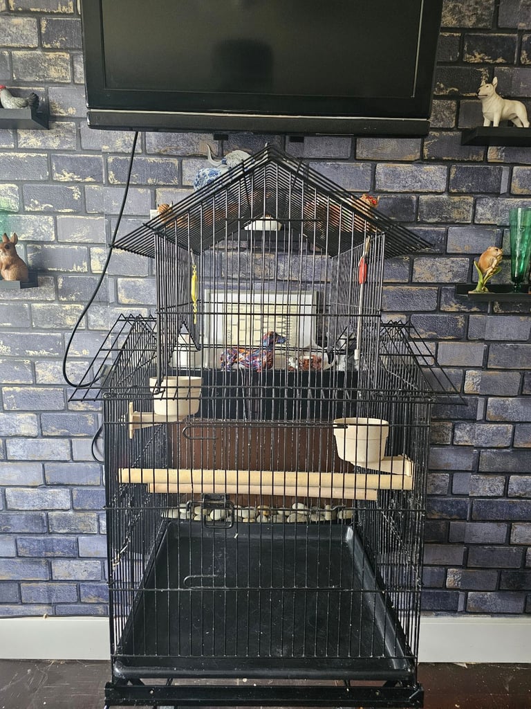Large bird cage for sale 