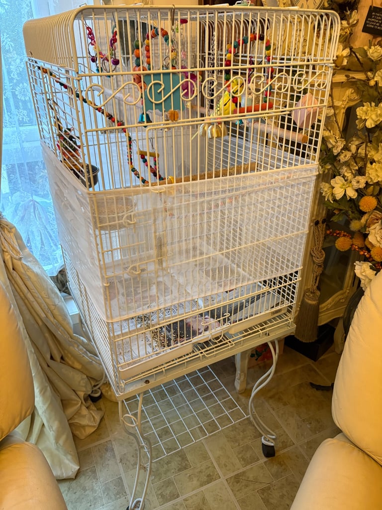 2 budgies and cage