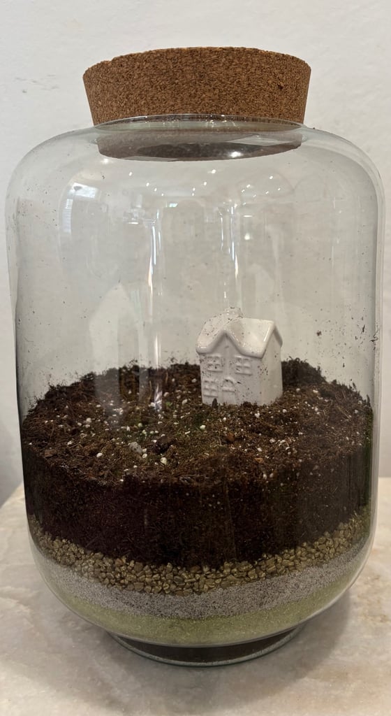 Terrarium for plants 