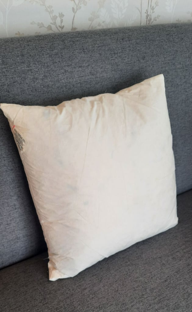image for 40x40cm, 16x16" Goose Feather Cushion Filler