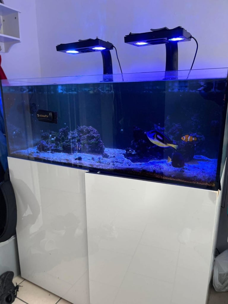 image for Marine fish tank 
