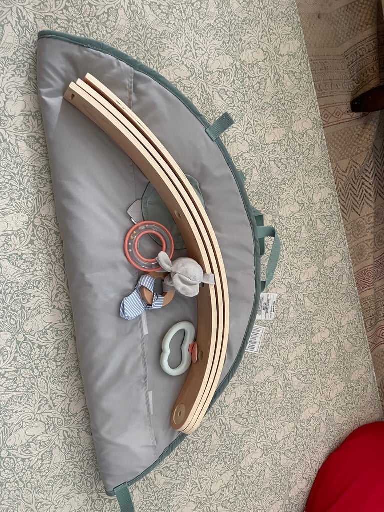 Ingenuity baby play gym & mat