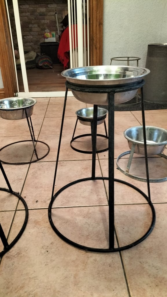 Raised dog stands with bowls 