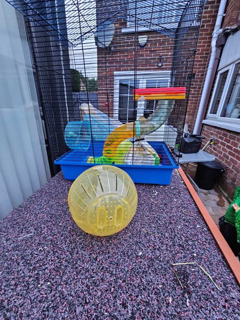 Reduced Hamster cage with many accessories