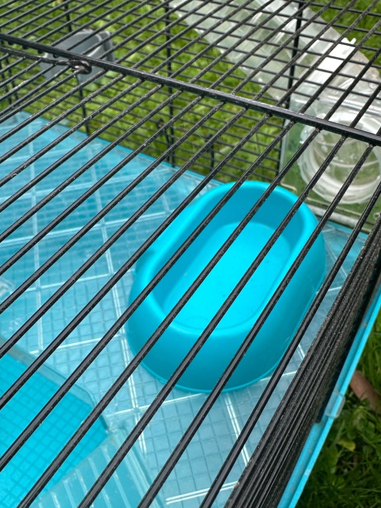 Hamster cage and accessories 