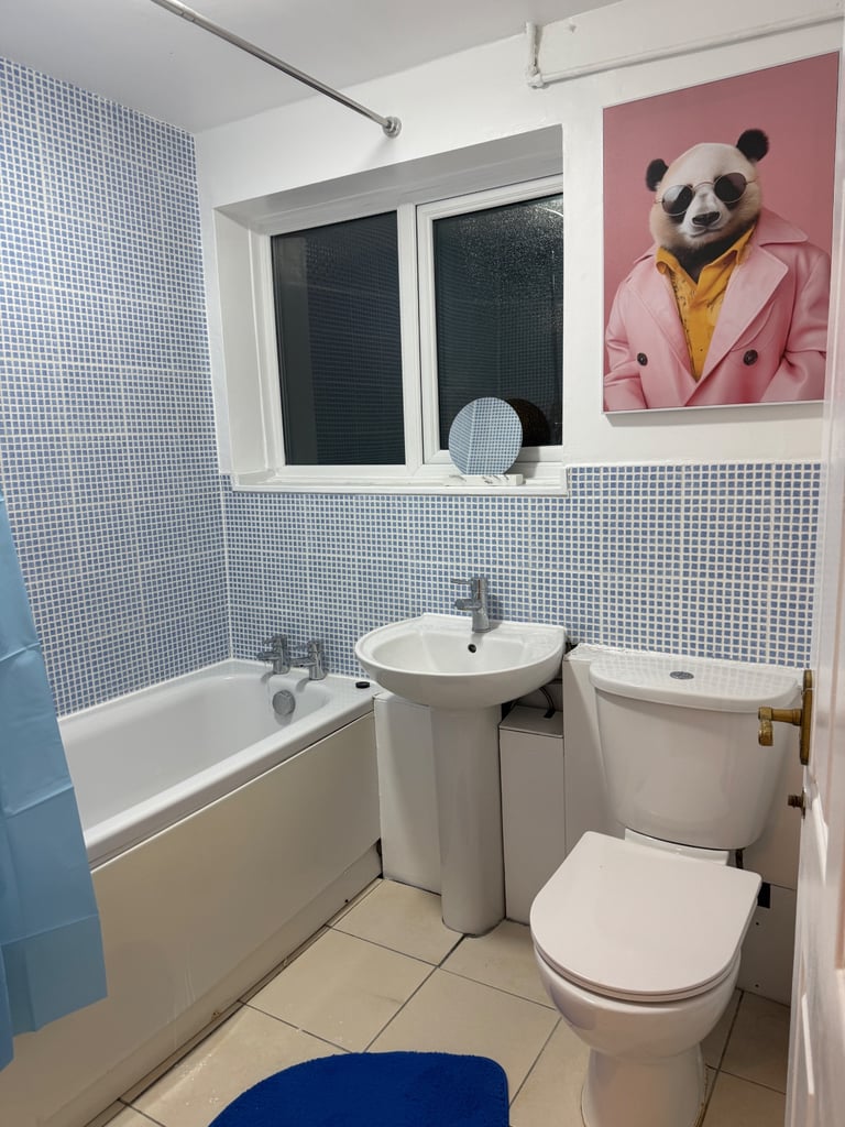 3 bedroom Basildon